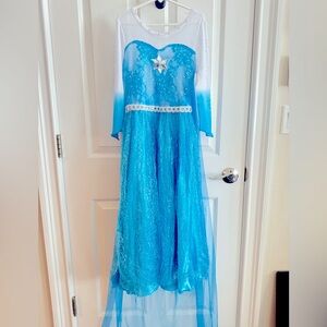 Princess Elsa from Frozen Costume Dress